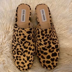 Steve Madden 2 inch Heel Mule Animal Leopardi Print